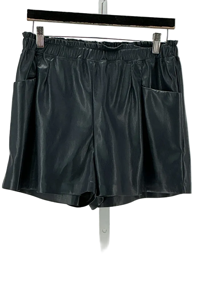 Melissa Nepton Size M Navy Shorts