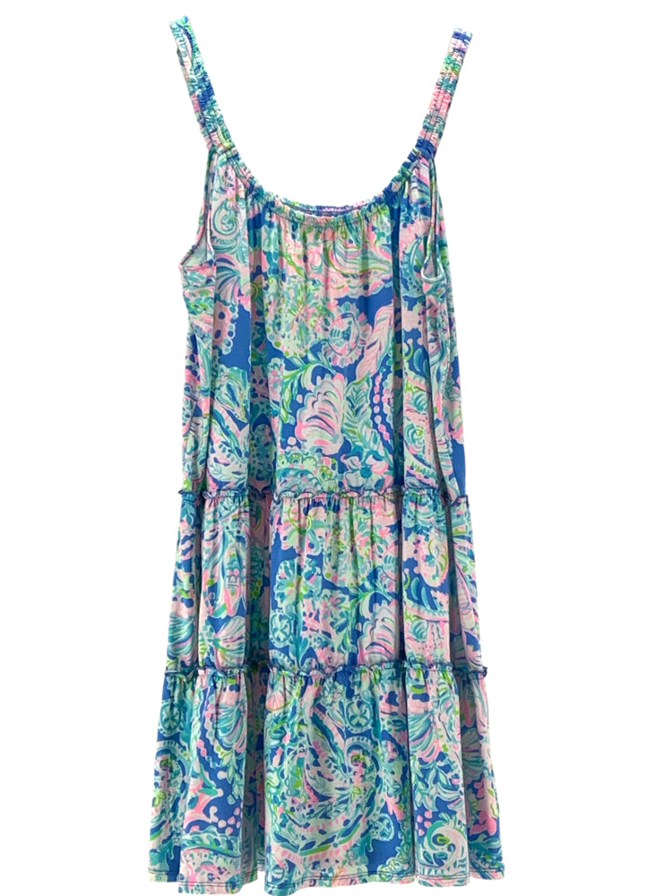 Lilly Pulitzer Size XL Blue Multi Dress