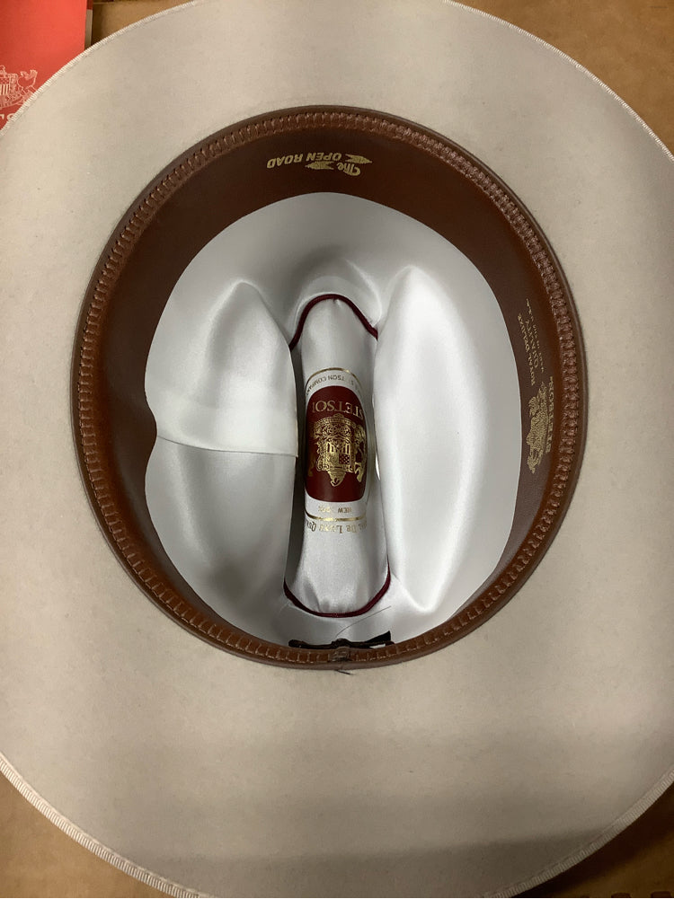 Stetson Gray Hat