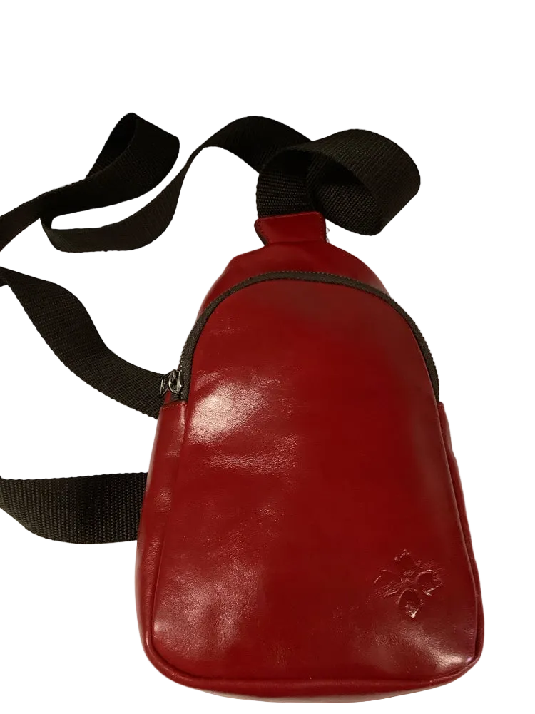 Patricia Nash Red & Brown Handbags