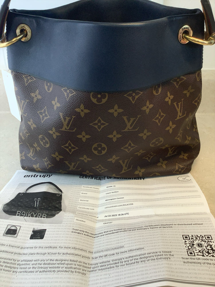 Louis Vuitton Monogram Tuileries Besace Handbags