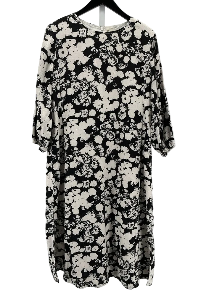 Everlane Size 4 Black & White Dress