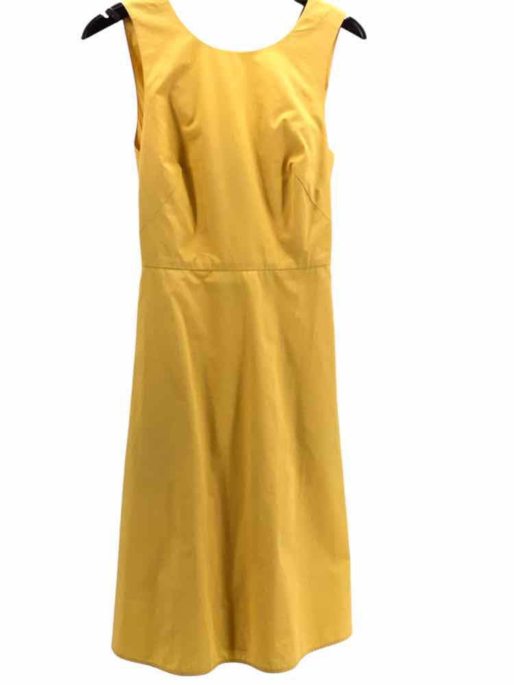 Everlane Size 4 Yellow Dress