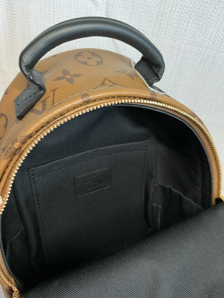 Louis Vuitton Monogram Reverse Palm Springs Backpack