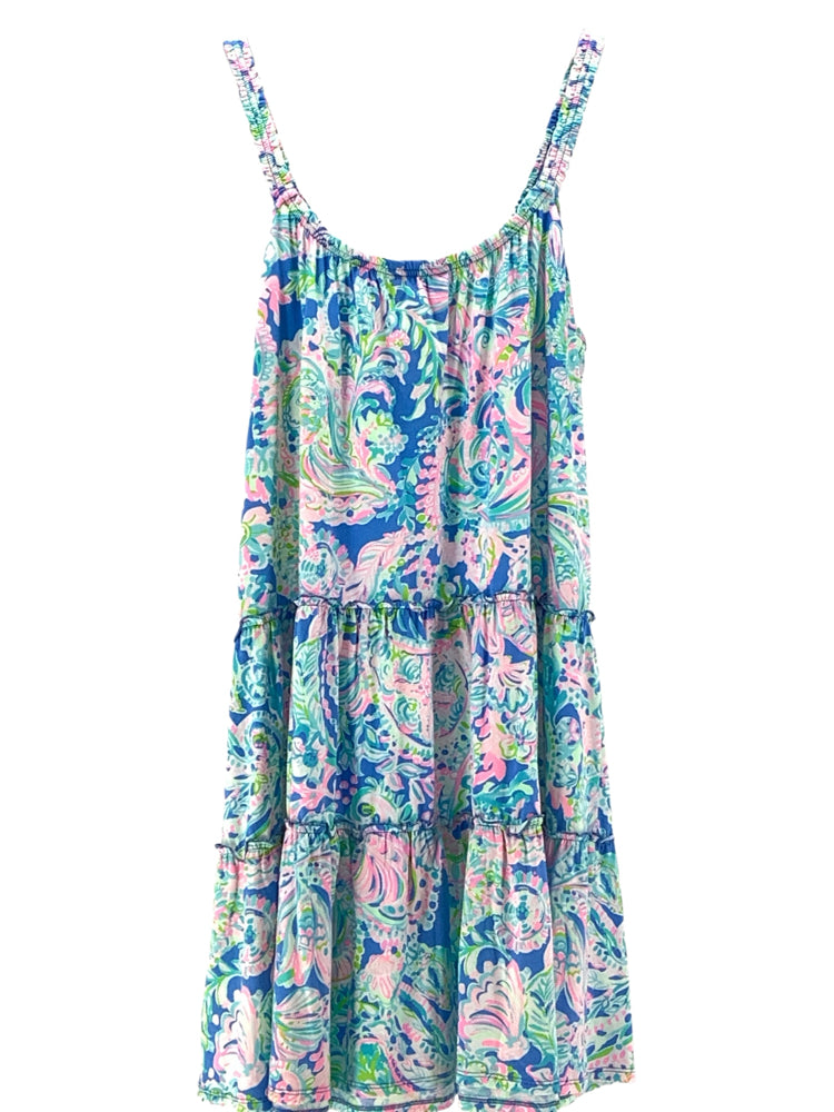 Lilly Pulitzer Size XL Blue Multi Dress