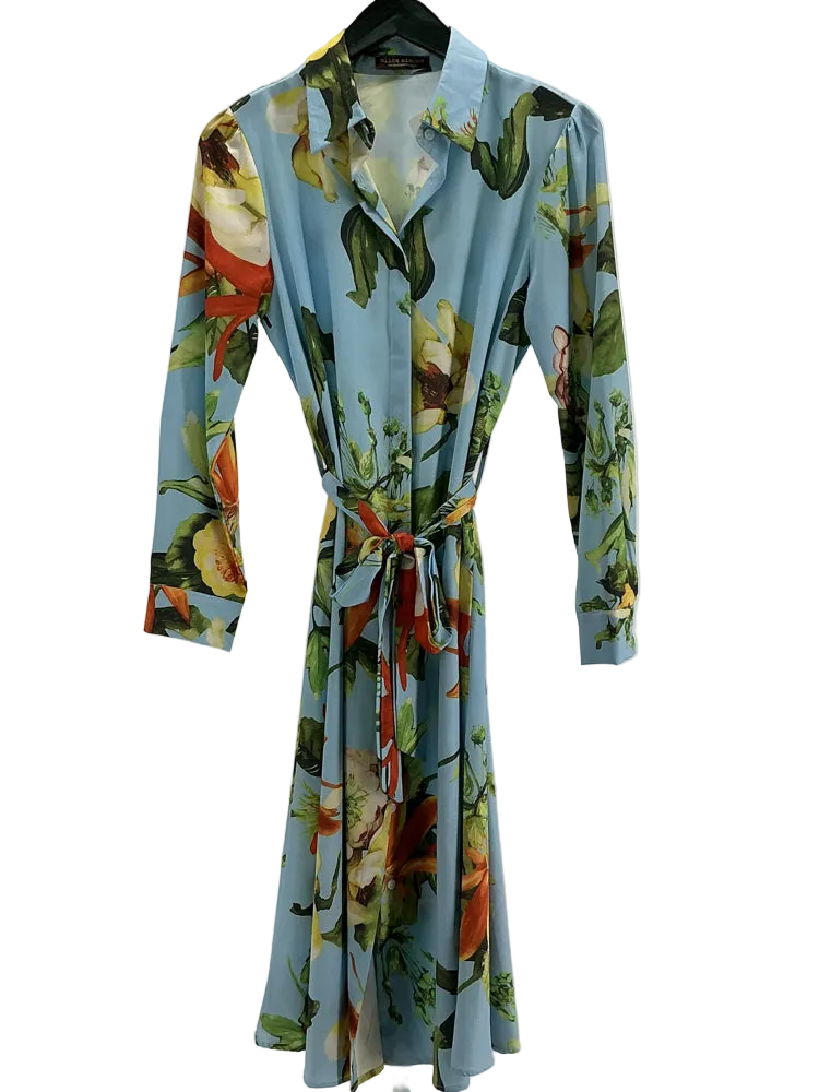 alice simone Size M Blue Multi Dress