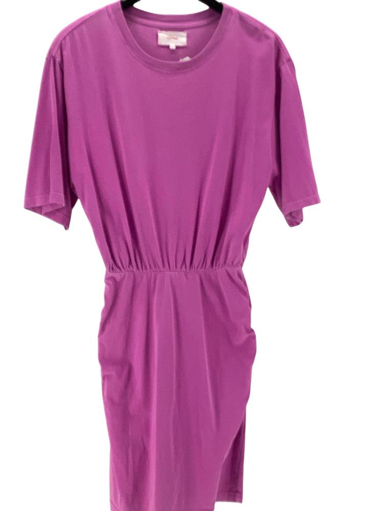 Xirena Size M Pink Dress