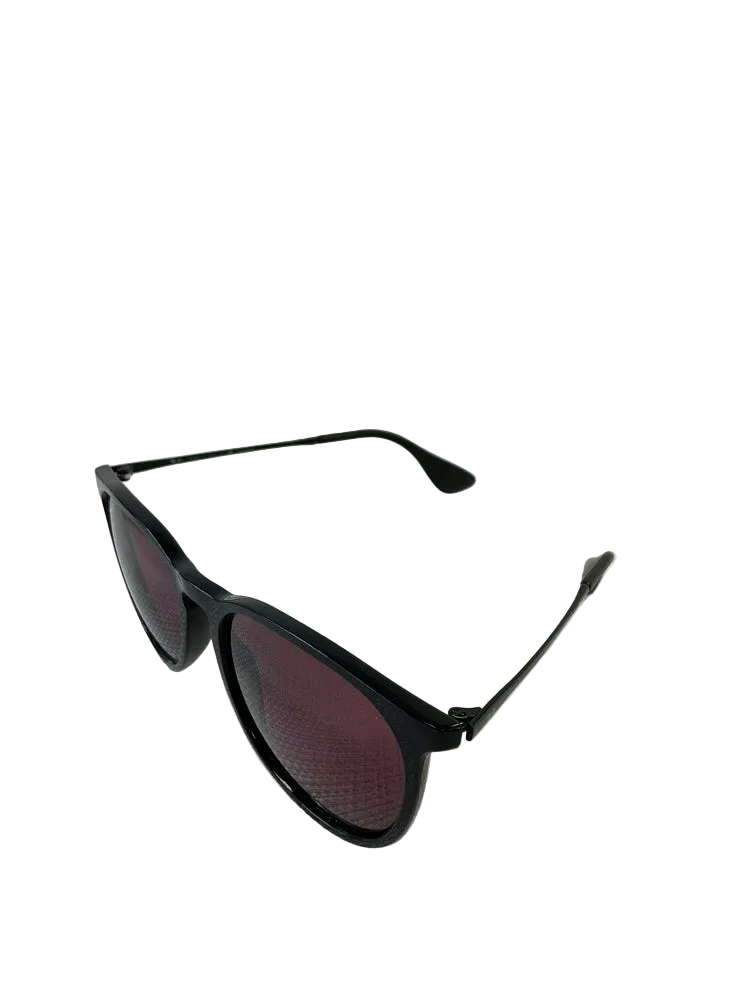 RayBan Black Erika Sunglasses