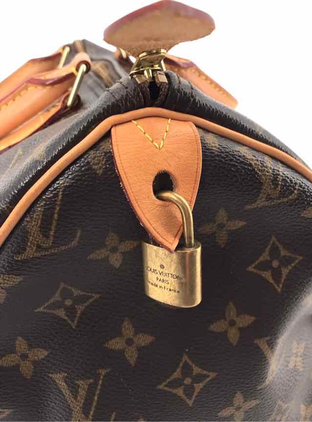 Louis Vuitton Monogram Handbags