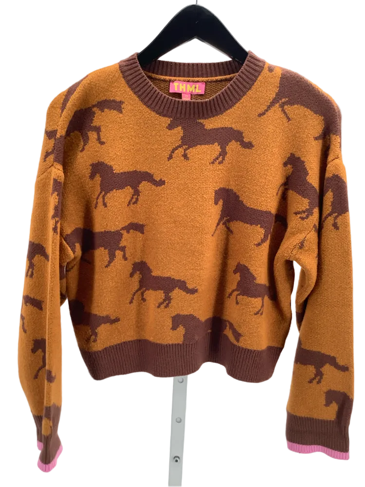 THML Size XS Brown Multi Sweater