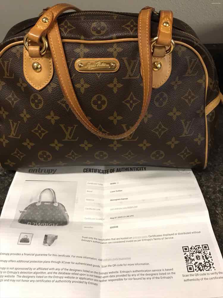 Louis Vuitton Monogram Montorgueil PM Handbags