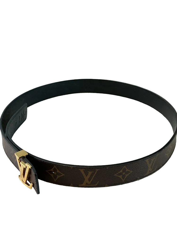 Louis Vuitton Brown Belt
