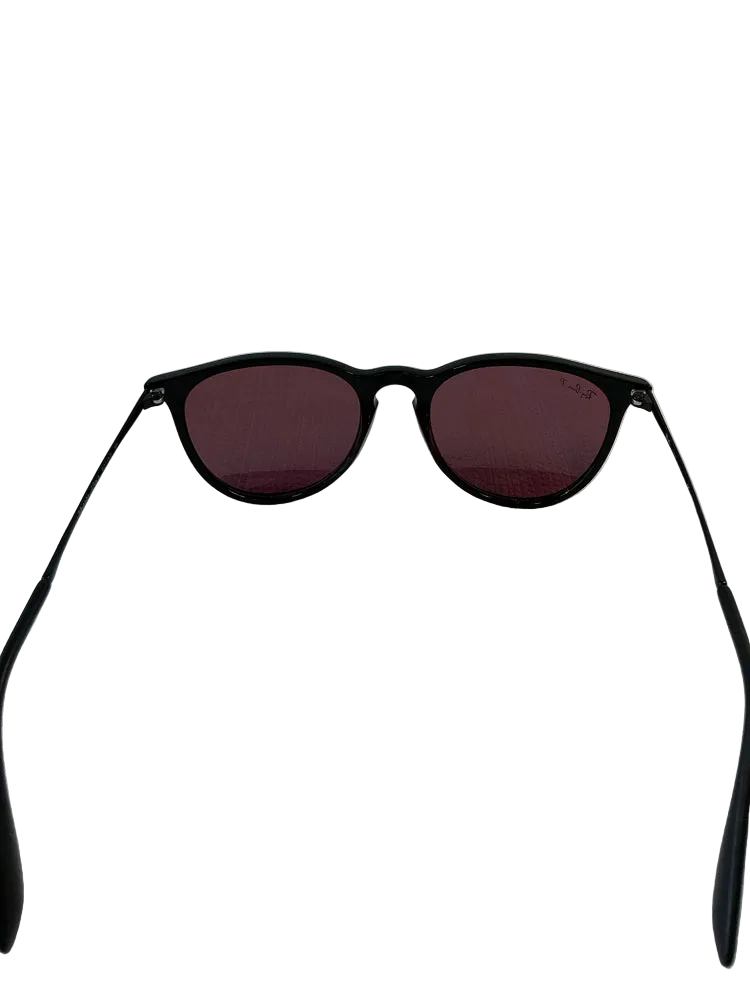 RayBan Black Erika Sunglasses