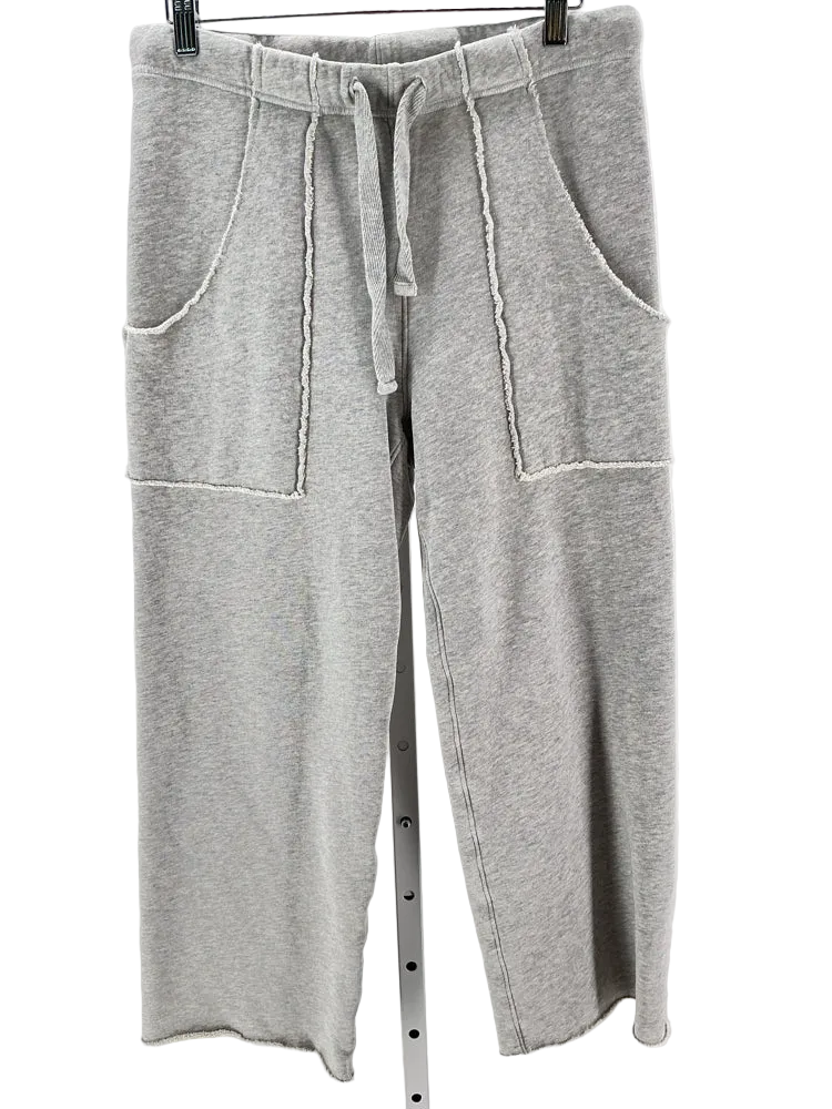 Frank & Eileen Size M Gray Eamon Sweatpants