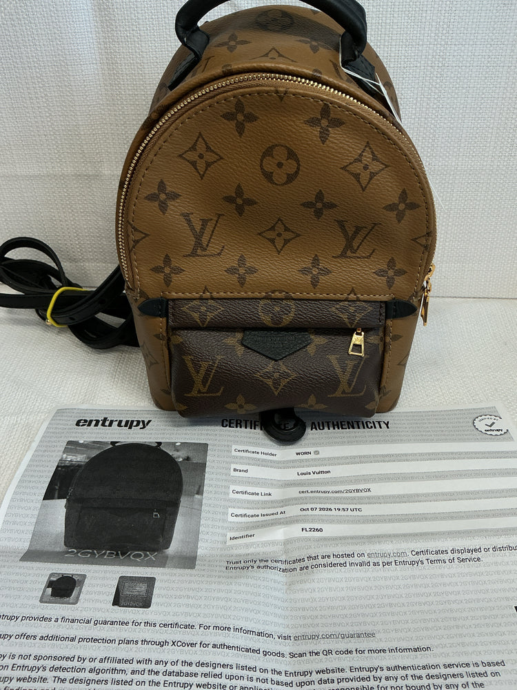 Louis Vuitton Monogram Reverse Palm Springs Backpack