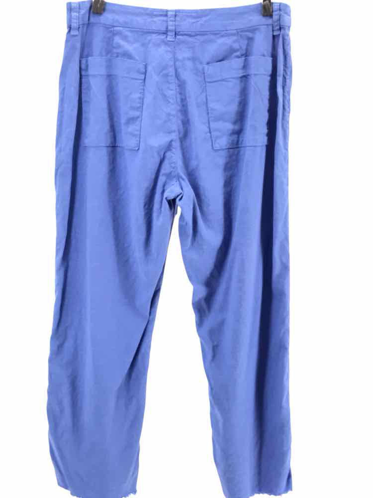 Frank & Eileen Size 10 Blue Kinsale Pants