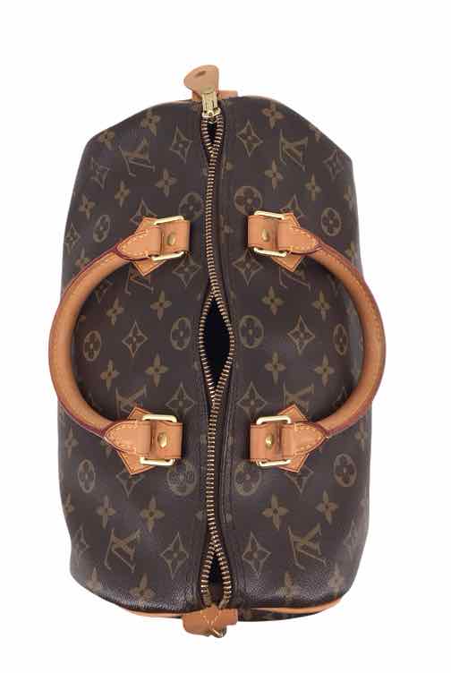 Louis Vuitton Monogram Handbags