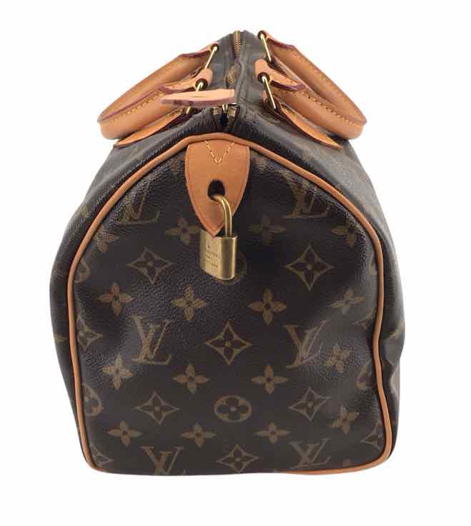 Louis Vuitton Monogram Handbags