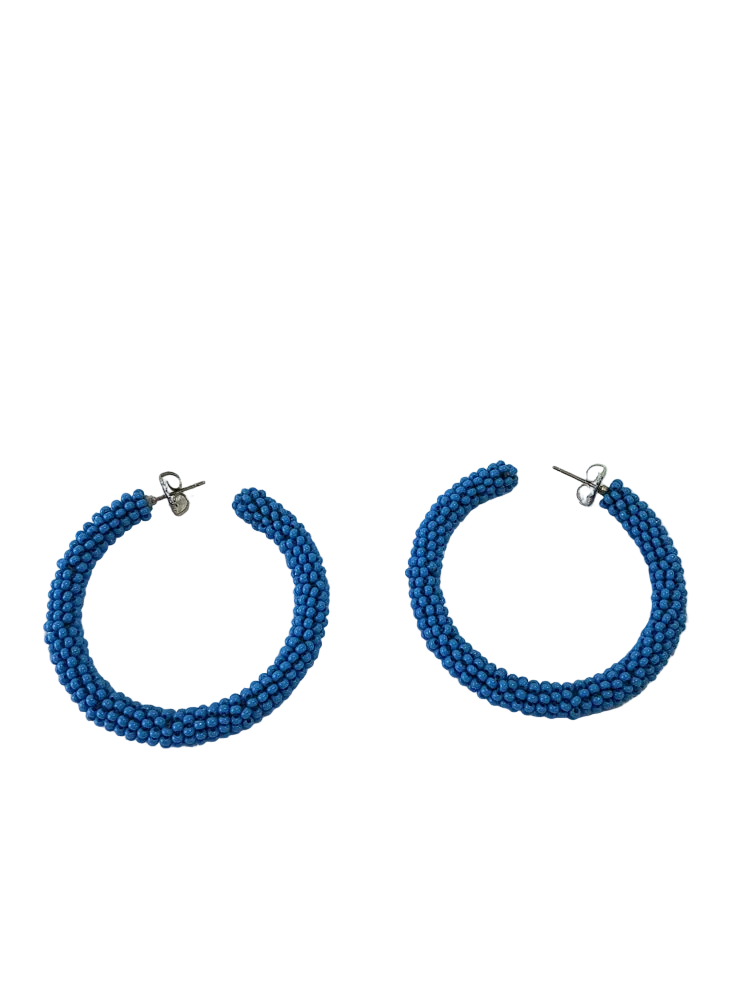 Sachin & Babi Blue Earrings
