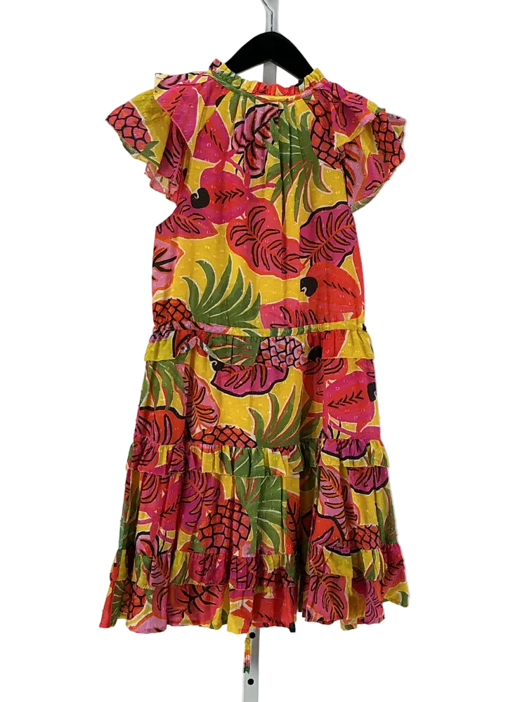 Farm Rio Size XS Pink multi Dress
