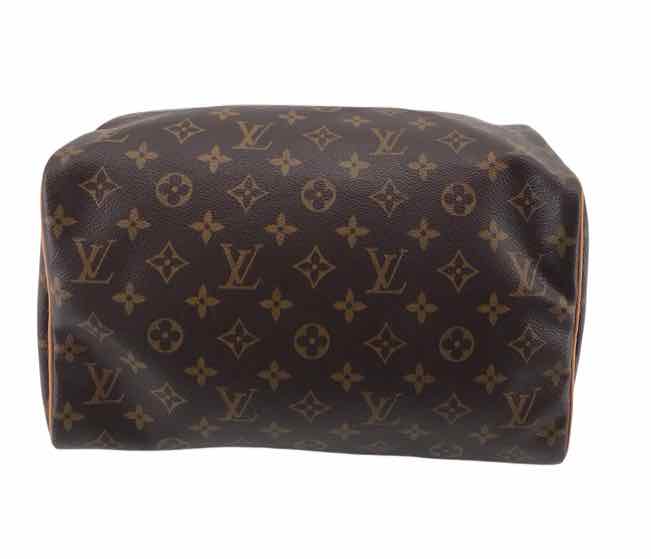 Louis Vuitton Monogram Handbags