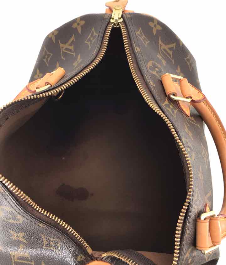 Louis Vuitton Monogram Handbags