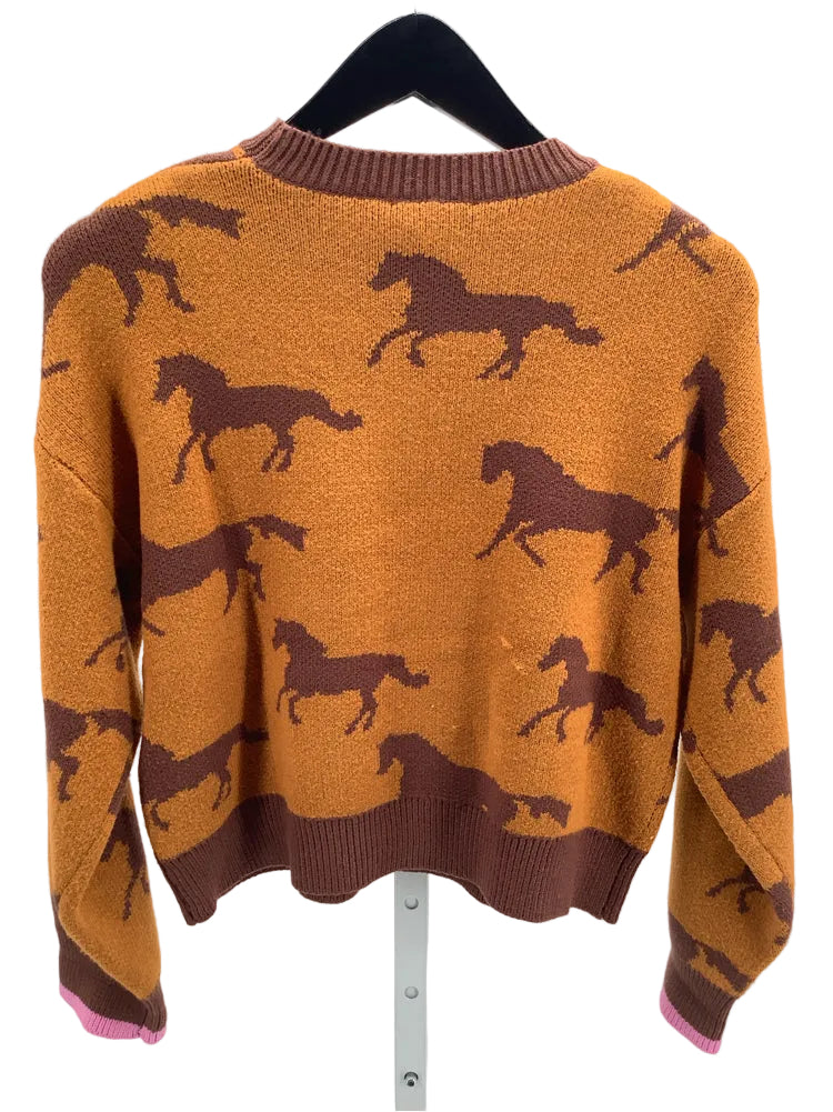 THML Size XS Brown Multi Sweater